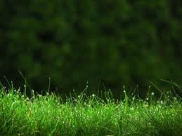 images_007